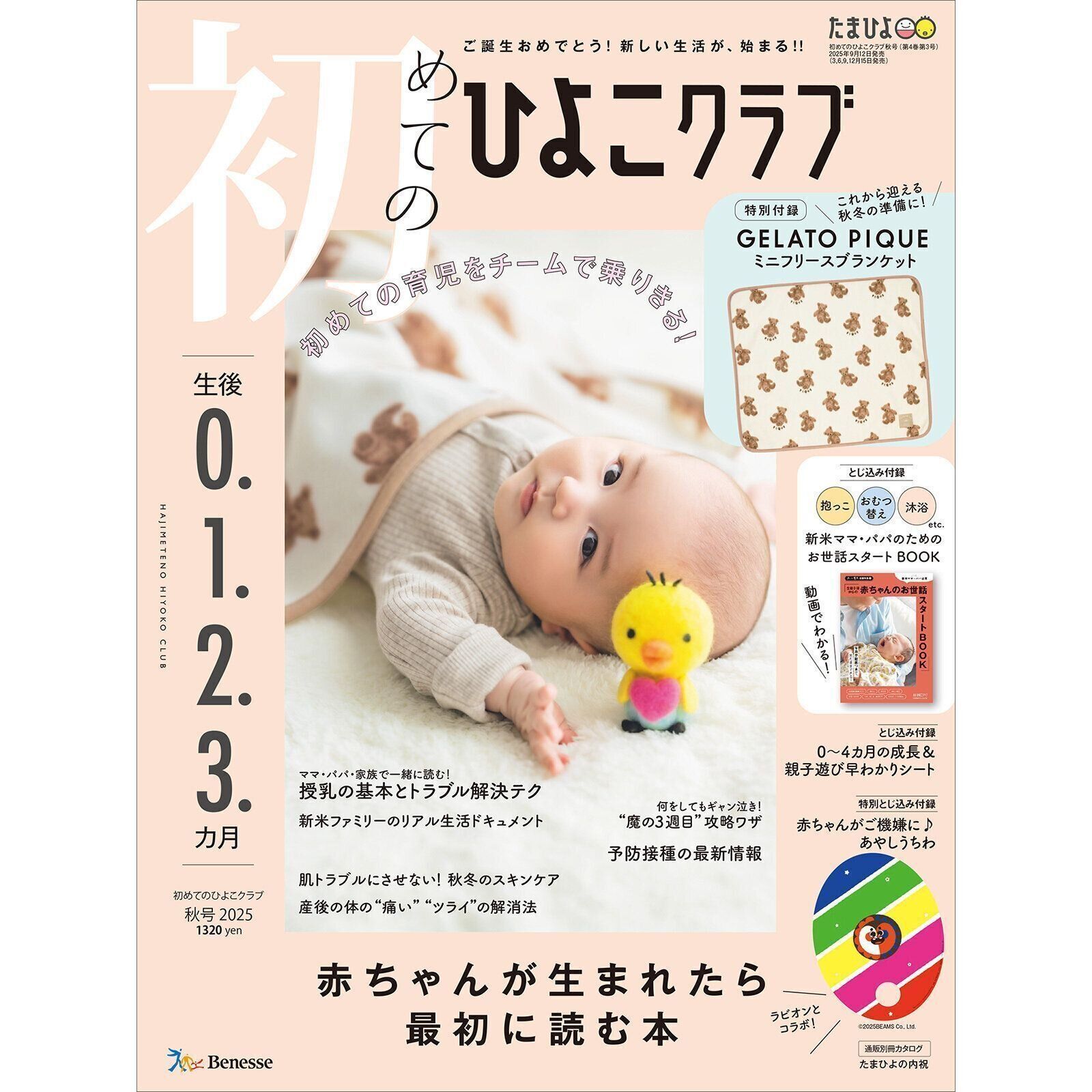 ひよこさん専用 202-510b_1.jpg