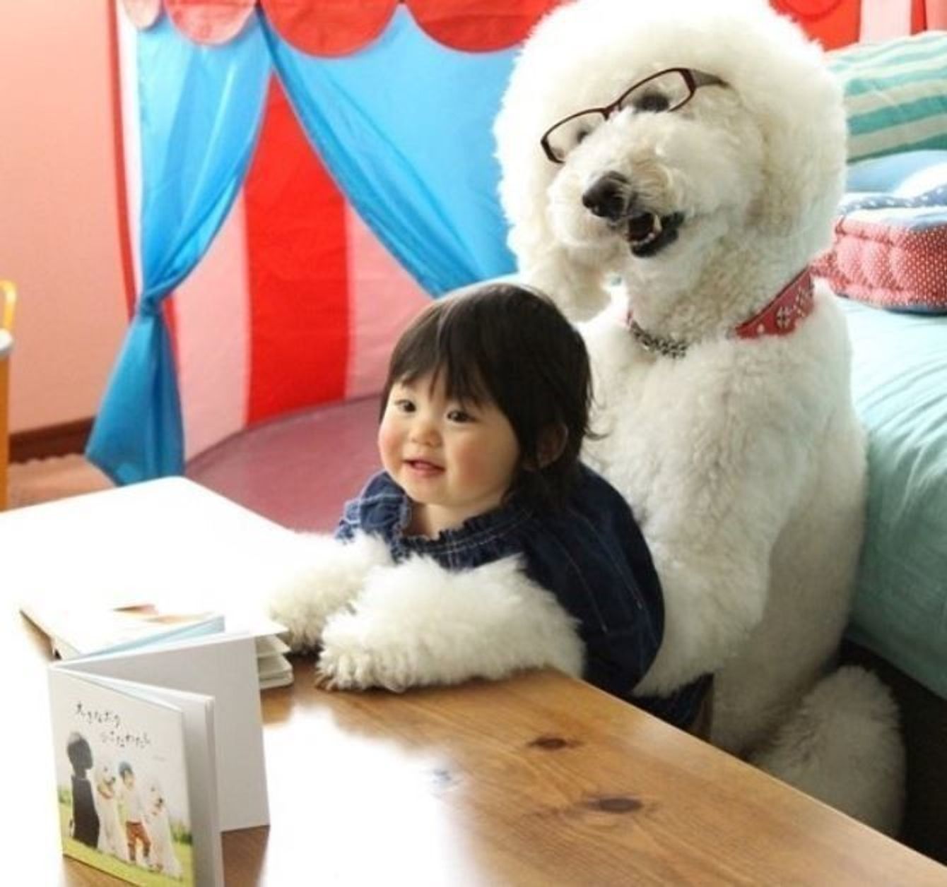 可愛すぎる たまねぎさんちのワンコとベビーにほっこり たまひよ 可愛すぎる たまねぎさんちのワンコとベビーにほっこり たまひよ