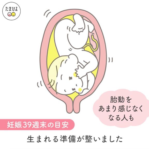 妊娠10ヶ月(36~39週)の赤ちゃん