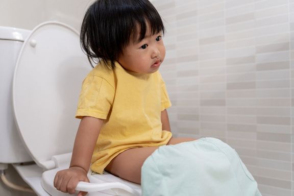 トイレに行く子供、子供の便秘、消化不良、腹痛、泣き声、排便、緊張、尿失禁、便中の血液、腸の問題、潰瘍性大腸炎、下痢