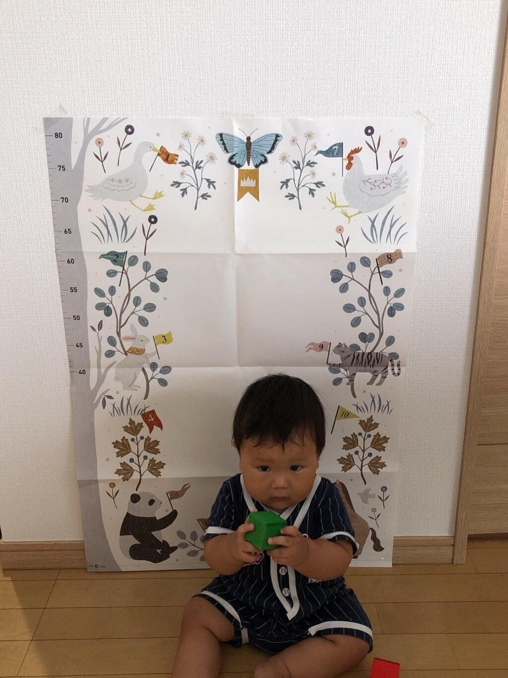 【エントリーNo.12】座高計りました笑　Photo by さわさん