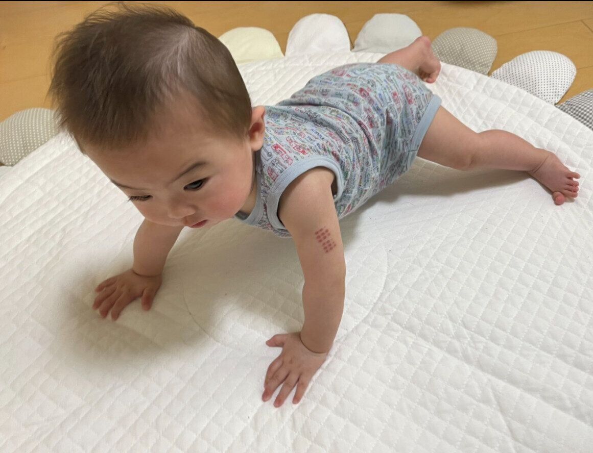 たまひよ成長日記 ８カ月と３日ごろ 中田藍央くんの成長の様子 発育 発達編 たまひよ