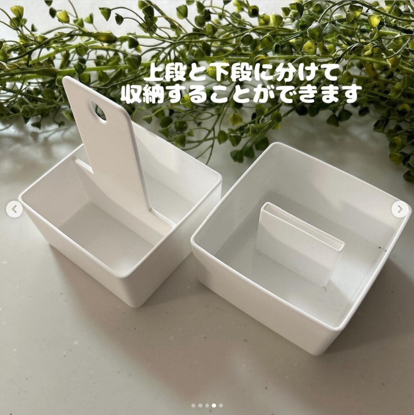 出典：Instagramアカウント「fukurouhaha」