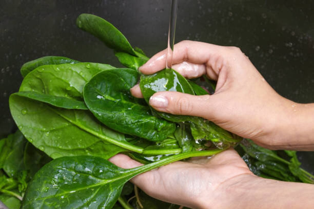 キノコは洗わない ブロッコリーはどこまで食べる ちょっと気になる野菜のギモン たまひよ キノコは洗わない ブロッコリーはどこまで食べる ちょっと気になる野菜のギモン たまひよ
