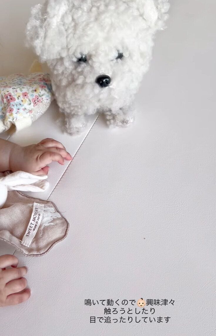 出典：Instagramアカウント「mhy__s26」