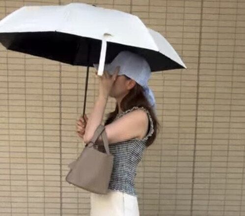 出典：Instagramアカウント「co_co_nana」