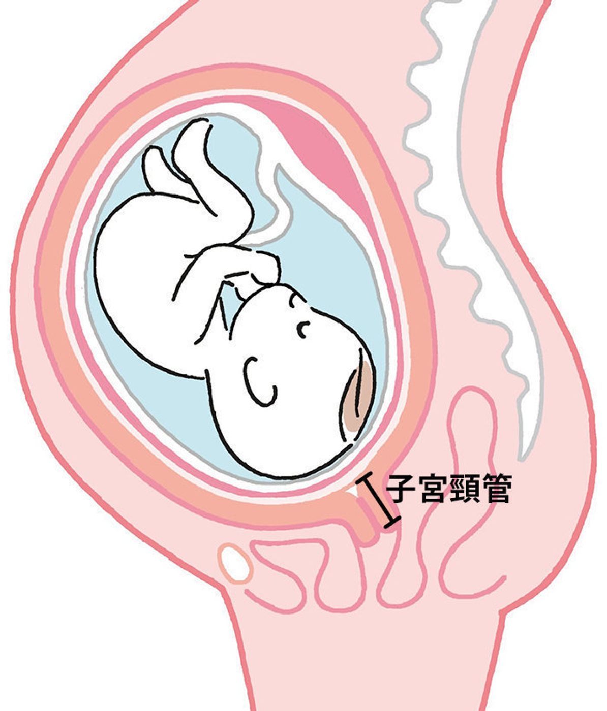 知っておきたい 切迫早産のポイント たまひよ 知っておきたい 切迫早産のポイント たまひよ