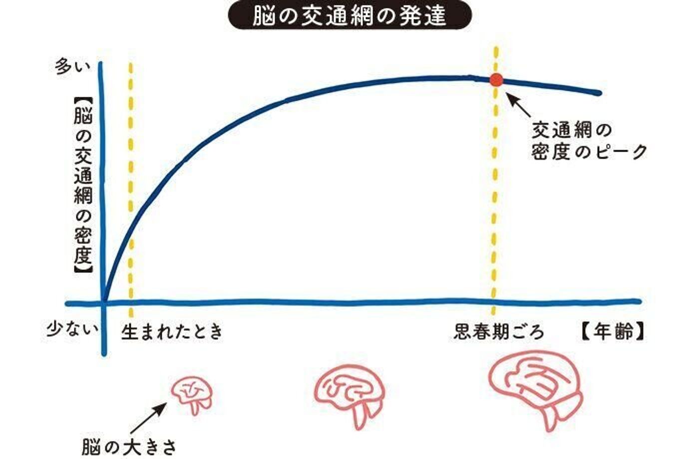 赤ちゃん時代は重要 最新の脳科学でわかった 0カ月から10歳の子どもの能力の伸ばし方 専門家 たまひよ