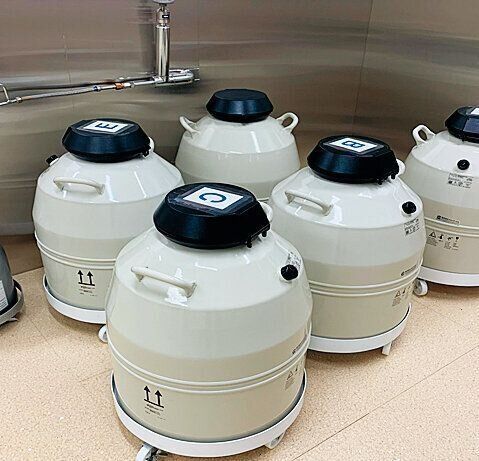 受精卵凍結専用の容器を収納するタンク。地震が起きても動かないよう工夫。