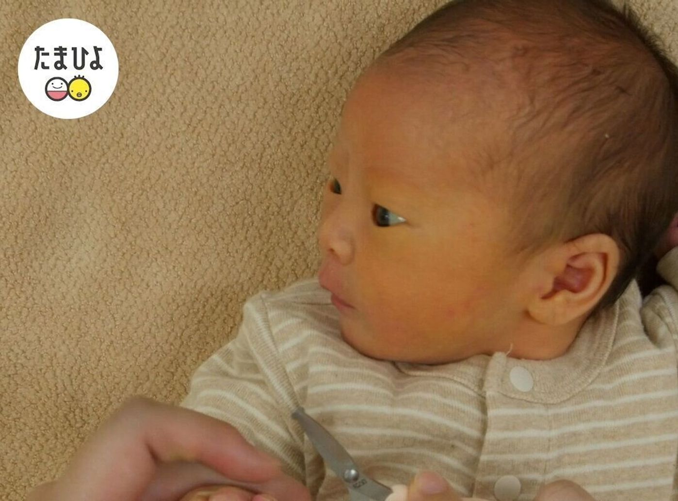 新生児 体のお手入れ 顔まわりやつめのお手入れはどうやるの 聖路加国際病院監修 たまひよ 新生児 体のお手入れ 顔まわりやつめのお手入れはどうやるの 聖路加国際病院監修 たまひよ