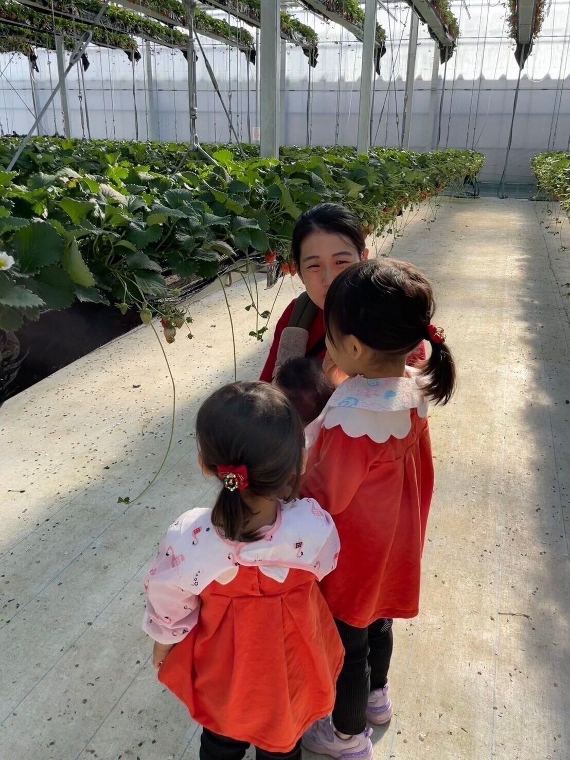 いちご狩りに行ったときの横澤さん親子。