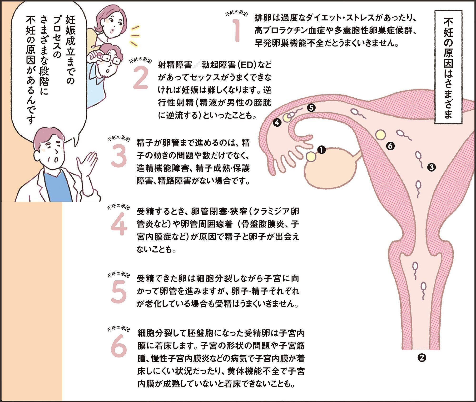 【マンガで解説】検査後いよいよ治療へ…治療の流れを知ろう！不妊治療クリニック受診ガイドSTEP2［男女共通］