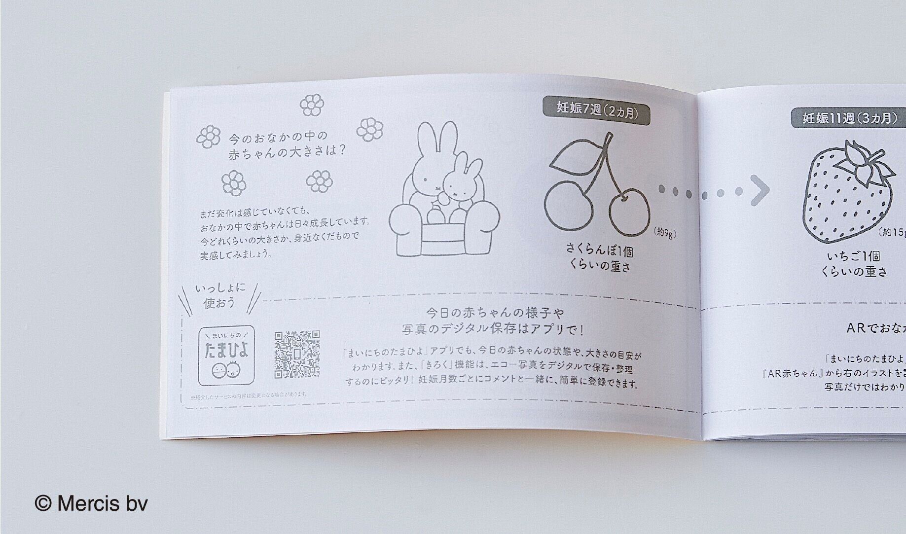 豪華付録&全員プレゼント】ミッフィー マタニティマーク