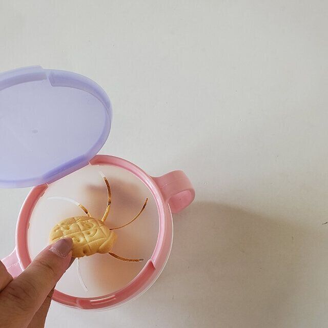 ダイソーお出かけ便利グッズ