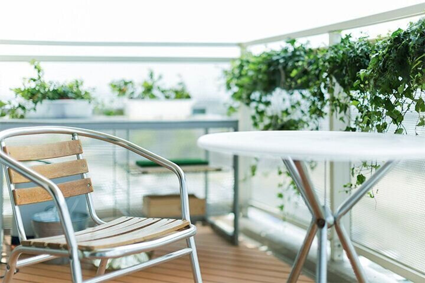 感染症対策 まさか虫刺されで 日本脳炎 デング熱 夏前から家の中でも対策を 専門家監修 たまひよ 感染症対策 まさか虫刺されで 日本脳炎 デング熱 夏前から家の中でも対策を 専門家監修 たまひよ