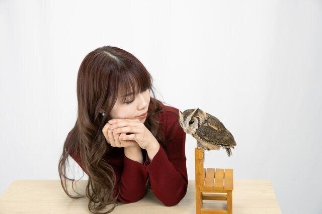●写真はイメージです　写真提供/ピクスタ