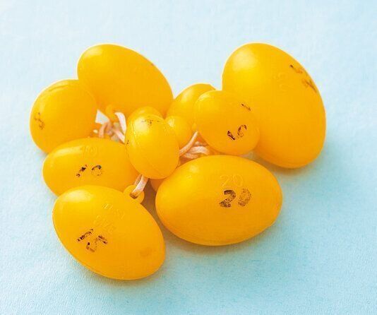 これは精巣の大きさを測るオーキドメーター。正常な成人男性の精巣容量は15～20mlと言われています。