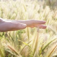 医師監修 兆候や原因は 知っておきたい自然流産のこと たまひよ 医師監修 兆候や原因は 知っておきたい自然流産のこと たまひよ