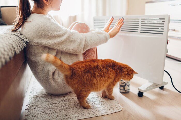 冬に自宅の給湯器を使用してください。女猫と彼女の手を地球温暖化します。暖房の季節。