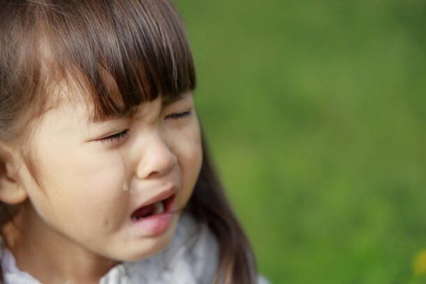 芝生の上で泣いている日本人の女の子 (4 歳)