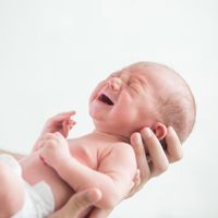 加藤ローサ 出産エピソードを語る 無痛が8割以上のフランスで出産して感じたこと たまひよ 加藤ローサ 出産エピソードを語る 無痛が8割以上のフランスで出産して感じたこと たまひよ