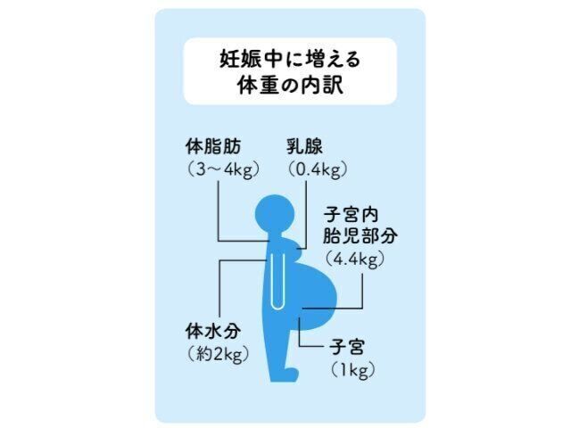 授乳中は1カ月でフルマラソン7回分のエネルギー消費 産後ダイエットはやりすぎ注意 専門家 たまひよ