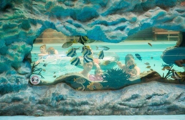 まるでシュノーケリングをしているよう!?熱帯魚と一緒に泳ぐ流れるプール