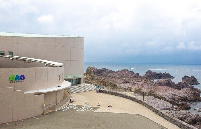 夏の親子旅②日本海の生き物と触れ合える&海で一日遊べる!絶景水族館【in秋田】