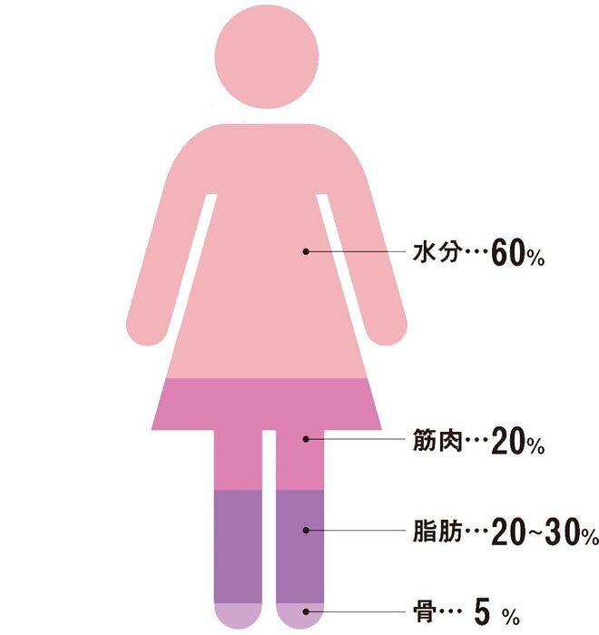 ※女性の体を構成する成分