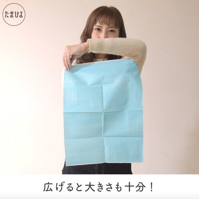 これがあれば不意のおしっこもれ対策もバッチリ!