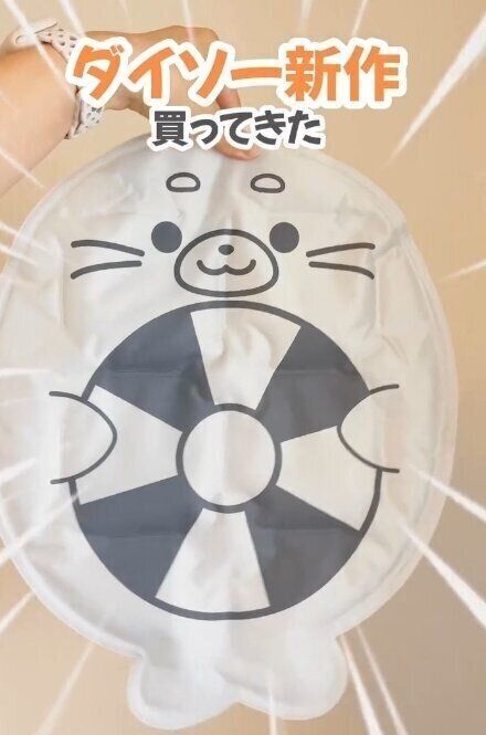 出典：Instagramアカウント「miz_gokigenshufu」