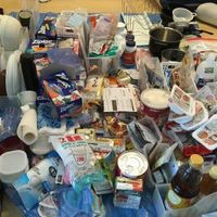 かつては部屋でゴキブリが大発生 Adhdの主婦が 片付けられない を克服し整理収納アドバイザーになるまで たまひよ かつては部屋でゴキブリが大発生 Adhdの主婦が 片付けられない を克服し整理収納アドバイザーになるまで たまひよ