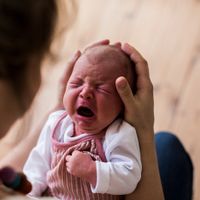 保健師監修 妊娠中にcheckを 首すわり前の赤ちゃんに やっていいこと悪いこと たまひよ 保健師監修 妊娠中にcheckを 首すわり前の赤ちゃんに やっていいこと悪いこと たまひよ