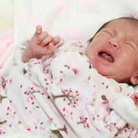 隣の赤ちゃんの泣き声がうるさくて どうやって伝えたら の投稿に 何も言わないであげて という ママ達の声 たまひよ 隣の赤ちゃんの泣き声がうるさくて どうやって伝えたら の投稿に 何も言わないであげて という ママ達の声 たまひよ