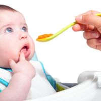 まだよく知られていない 花粉 食物アレルギー症候群 子どもがかかるとどうなる 専門家 たまひよ まだよく知られていない 花粉 食物アレルギー症候群 子どもがかかるとどうなる 専門家 たまひよ