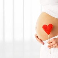 妊娠時期別 胎動の変化と赤ちゃんの成長 こんなときおなかの中で何してる たまひよ 妊娠時期別 胎動の変化と赤ちゃんの成長 こんなときおなかの中で何してる たまひよ