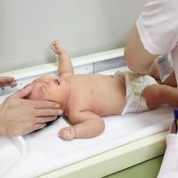 医師監修 おなかの病気 1歳 幼児 子どもがかかりやすい病気の話 たまひよ 医師監修 おなかの病気 1歳 幼児 子どもがかかりやすい病気の話 たまひよ