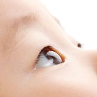 生まれたばかりの赤ちゃんもママやパパの顔が大好き 赤ちゃんの見る世界の不思議 専門家 たまひよ 生まれたばかりの赤ちゃんもママやパパの顔が大好き 赤ちゃんの見る世界の不思議 専門家 たまひよ