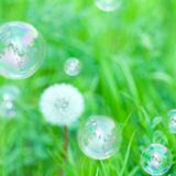 医師監修 進行流産とはどういうこと 症状やその後の処置 次の妊娠について知りたい たまひよ