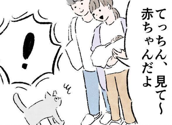猫と赤ちゃん、はじめての対面【小玉なこの「こんにちは、赤ちゃん」#6】