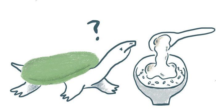 精力アップに、すっぽんやとろろがいいって本当?