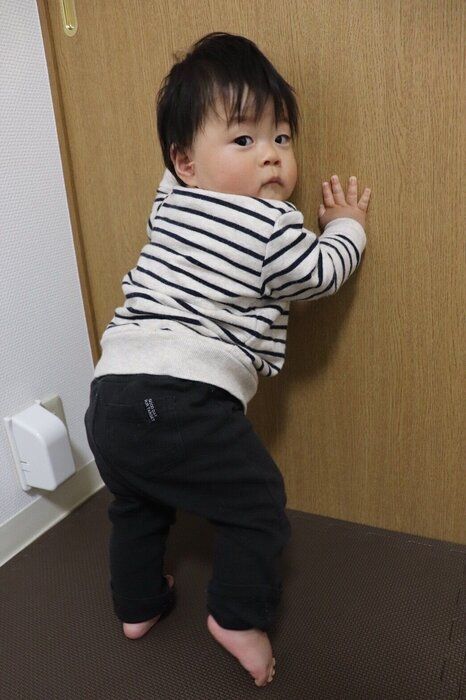 たまひよ成長日記 9カ月と4日ごろ 古田島柚樹くんの成長の様子 発育 発達編 たまひよ