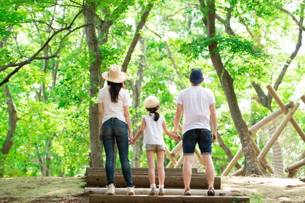 森の公園で手をつないでいる父、母、娘