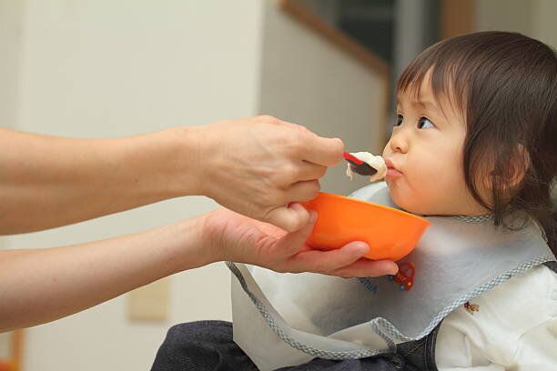 食べる、日本の赤ちゃん女の子ベビーフード(1 年)