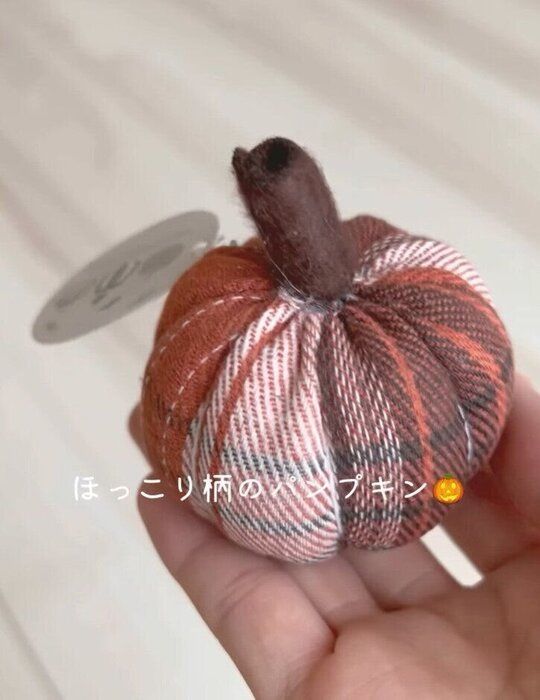 出典:Instagramアカウント「risenshine_2」