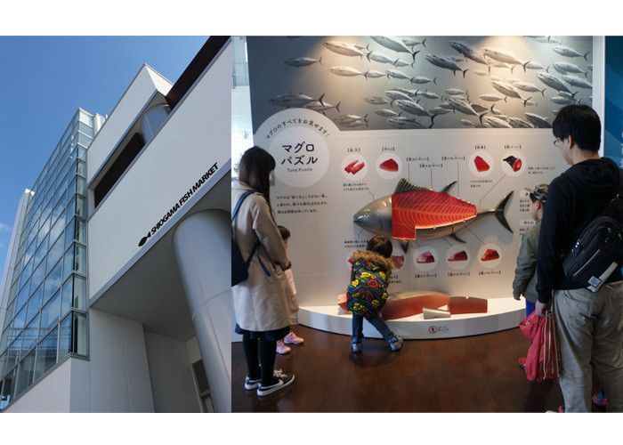 夏の親子旅④世界三大漁場の一つ「三陸」で遊んで学ぼう【in宮城】