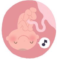 医師監修 羊水の役割と 羊水の量 濁りなどによって起きるトラブル たまひよ 医師監修 羊水の役割と 羊水の量 濁りなどによって起きるトラブル たまひよ