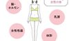 専門家に聞く妊活基礎知識 「女性の体」や「女性性器」のこと知っていますか?