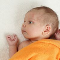 赤ちゃんの感染症 りんご病 伝染性紅斑の症状とケア 医師監修 たまひよ 赤ちゃんの感染症 りんご病 伝染性紅斑の症状とケア 医師監修 たまひよ