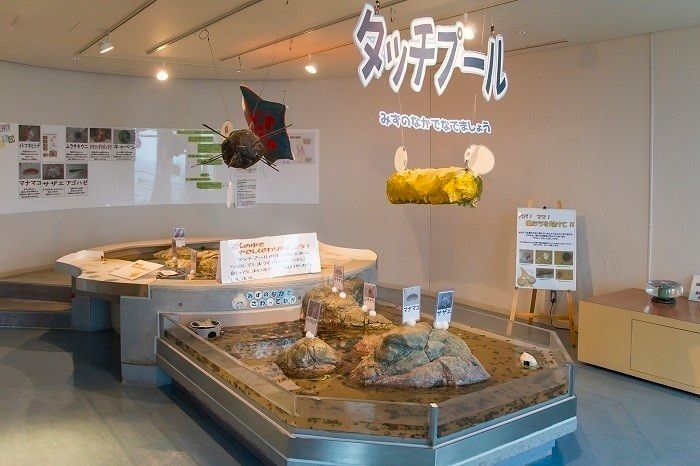 スタッフのアイデアが光る企画や展示でより楽しめる♪